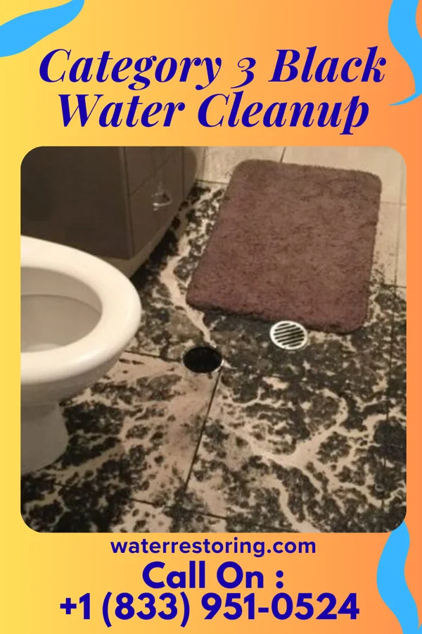 Category 3 Black Water Cleanup in Libertyville, IL