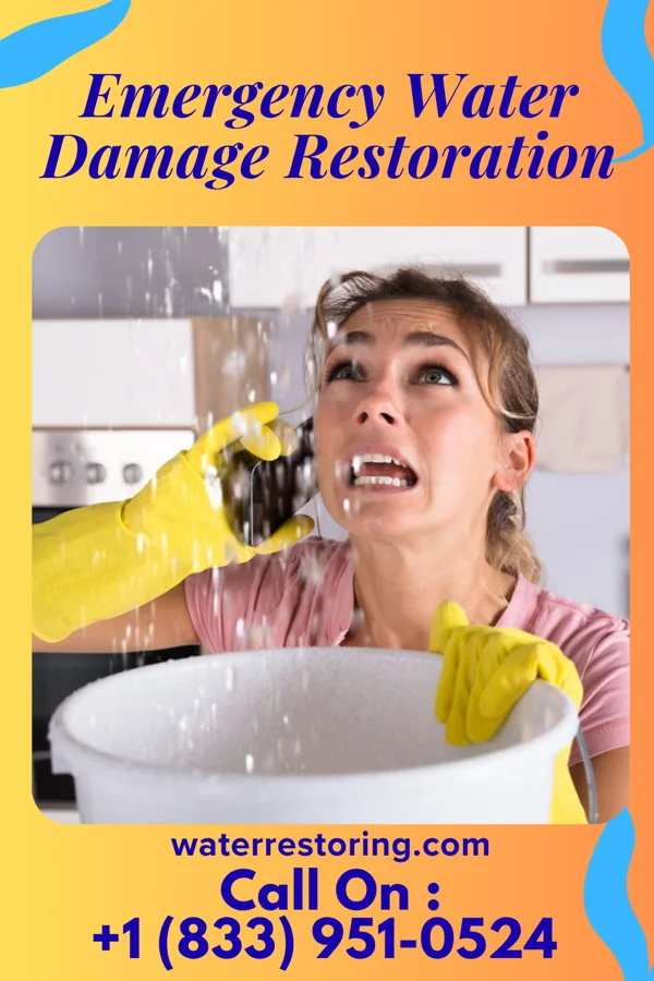 Emergency Water Damage Restoration in Libertyville, IL